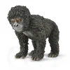 Mountain Gorilla Baby