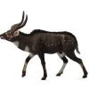 Mountain Nyala