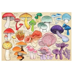Mushroom Mania 1000 Piece Puzzle