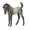 Mustang Foal Grulla