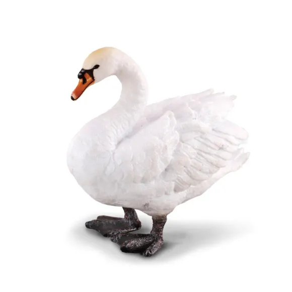 Mute Swan