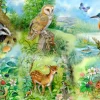 Nature Study - BIG 250 Piece Jigsaw Puzzle