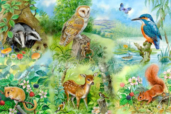 Nature Study - BIG 250 Piece Jigsaw Puzzle