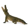 Nile Crocodile Leaping With Movable Jaw