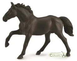 Nonius stallion