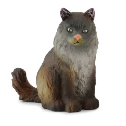 Norwegian Forest Cat Sitting