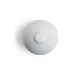 Onion (Pack of 2)