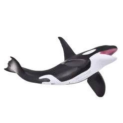 Orca