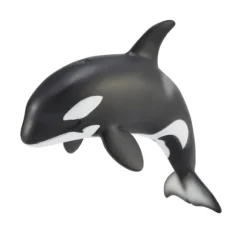 Orca Calf