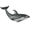 Pacific White Sided Dolphin