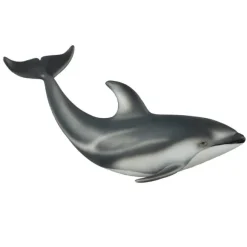 Pacific White Sided Dolphin