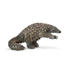 Pangolin