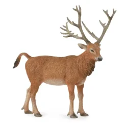Pere David's Deer