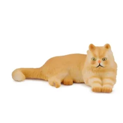 Persian Cat Lying