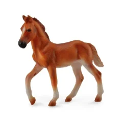 Peruvian Paso Foal Chestnut