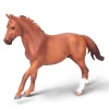 Phar Lap, Thoroughbred Stallion Chestnut