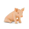 Piglet Sitting