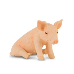Piglet Sitting