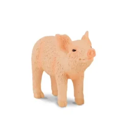 Piglet Smelling