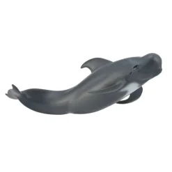 Pilot Whale