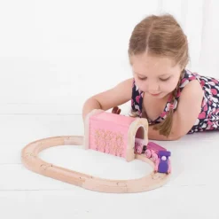 Pink Brick Tunnel