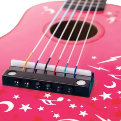 Pink Guitar (Flowers)