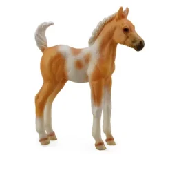 Pinto Foal Standing Palomino