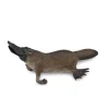 Platypus