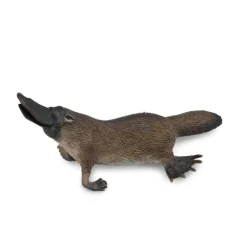 Platypus