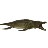 Pliosaurus 1:40 (Deluxe)