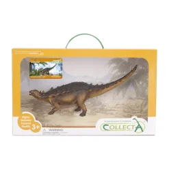Polacanthus - Deluxe Window Box