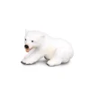 Polar Bear Cub Sitting