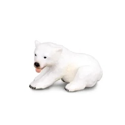 Polar Bear Cub Sitting