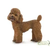 Poodle