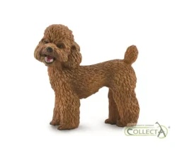 Poodle