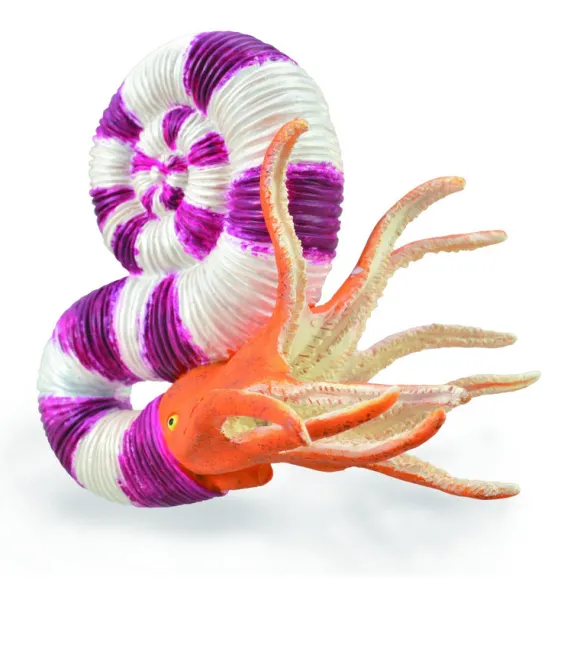 Pravitoceras