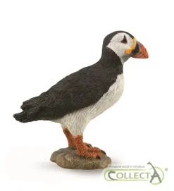 Puffin