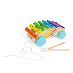 Pull Along Xylophone