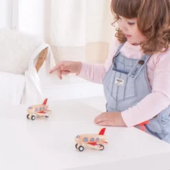 Pull Back Planes (Pack of 2)