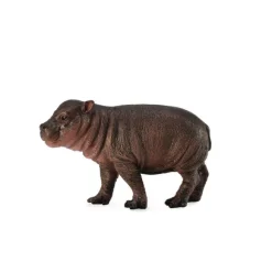 Pygmy Hippopotamus Calf