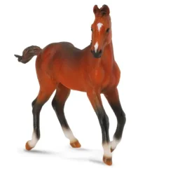 Quarter Horse Foal Bay