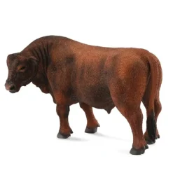 Red Angus Bull