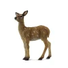 Red Deer Calf