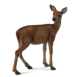 Red Deer Hind