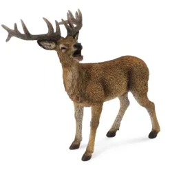 Red Deer Stag