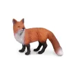 Red Fox