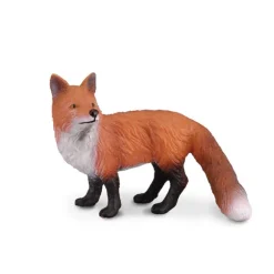 Red Fox