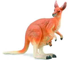 Red Kangaroo - Female with Joey