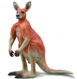 Red Kangaroo - Male