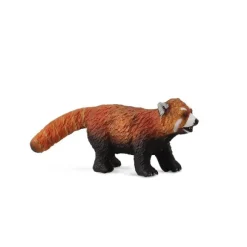 Red Panda
